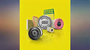 Mann Filter C 30 005 air filter review